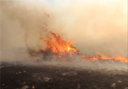 امسال ۳۶۴ هکتار از جنگل‌ها و مراتع گلستان طعمه حریق شد/ روشن کردن آتش برای پخت و پز در جنگل‌ها بیشترین دلیل آتش‌سوزی است