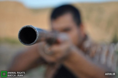فوری: درگیری صیادان و محیط‌بانان در گمیشان/ مرگ یک صیاد گلستانی بر اثر شلیک گلوله