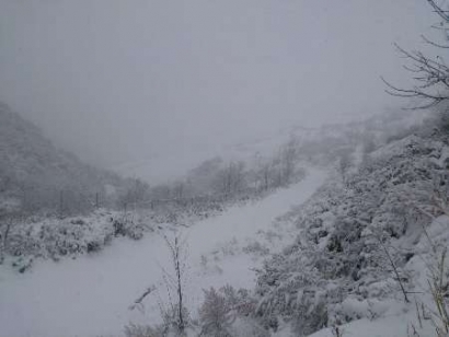 بارش سنگین برف، جاده 11 روستای کوهستانی گالیکش را مسدود کرد