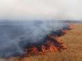 آتش سوزی در 4 هکتار از زمین های مرتعی خلیج گرگان مهار شد