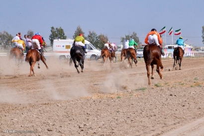 هفته پنجم کورس تابستانه اسبدوانی بندرترکمن برگزار شد/ رقابت 60 رأس اسب برای تصاحب 75 میلیون تومان جایزه