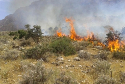 آتش‌سوزی‌های مشکوک و پیاپی در منطقه بانک شهر گرگان + توضیحات منابع طبیعی شهرستان گرگان 