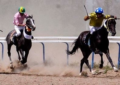 هفته هفتم کورس اسبدوانی تابستانه بندرترکمن برندگان خود را شناخت + اسامی چابکسواران و اسب‌های برنده