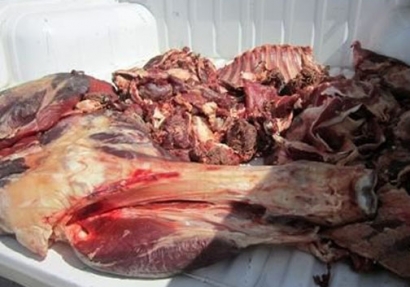 بیش از ۱۰۰ کیلوگرم گوشت قرمز تاریخ گذشته در گنبدکشف شد/ مردم به تاریخ مصرف گوشت توجه کنند