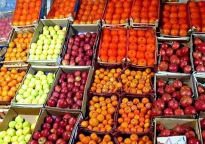 ‌‌۱۶۰ تن میوه شب عید در گنبدکاووس توزیع می‌شود‌