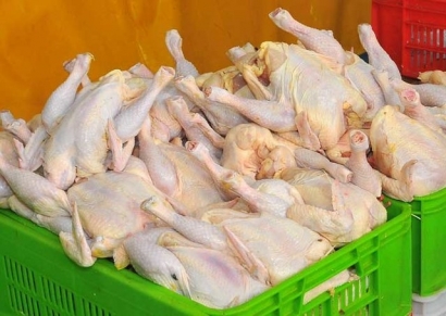 تعدیل قیمت گوشت مرغ در گلستان
