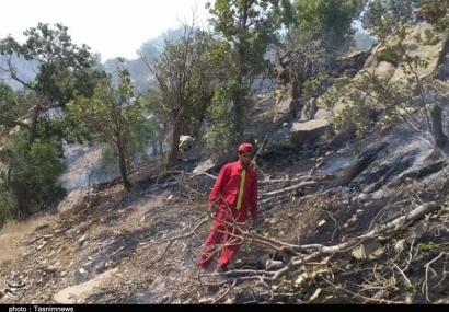 آتش به جان جنگل‌های اطراف گرگان افتاد؛ عملیات اطفا در حال انجام است