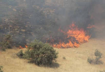آتش سوزی در ۴ نقطه از جنگل های گلستان