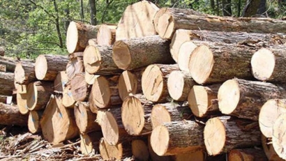 کشف و ضبط ۳ تن محموله چوب آلات جنگلی در رامیان