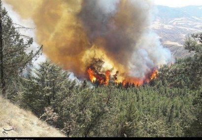 جنگل‌های استان گلستان بی‌دفاع در برابر آتش هستند