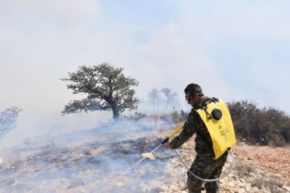 پاکسازی حریق از پارک ملی گلستان/ آتش فعال نداریم