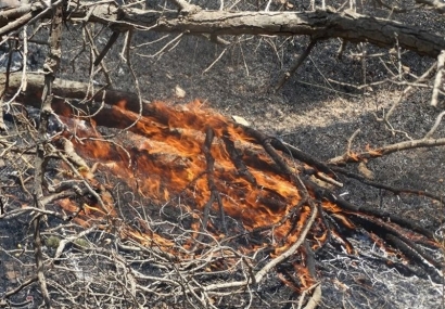 آتش‌سوزی در پارک ملی گلستان کامل اطفاء شد