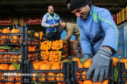 ۲۵۰ تن میوه تنظیم بازار شب عید در گلستان توزیع می شود
