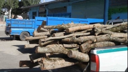 ۱۰ تن چوب آلات جنگلی قاچاق در علی آبادکتول کشف شد