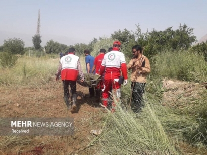  جسد چترباز سقوط کرده در جنگل کردکوی پیدا شد