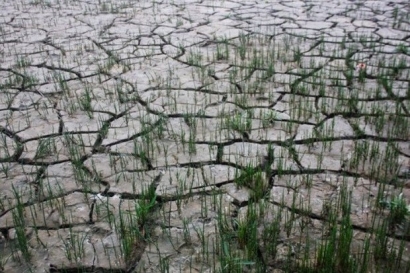 وقوع خشکسالی بسیار شدید در گلستان/ ۴۵ درصد کاهش بارندگی رخ داد