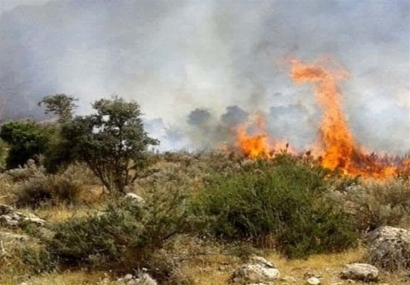 زبانه آتش در 4 نقطه از جنگلهای هیرکانی/ پاییز داغ در شمال/ بالگردهای اطفا کجایند؟