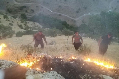 وقوع 4 آتش‌سوزی در گلستان در یک روز/ علت آتش‌سوزی‌‌ها سوزاندن کاه و کلش گندم بود