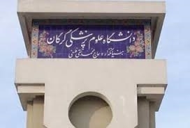 تعرفه خدمات پرستاری در منزل اعلام شد/ 5 گلستانی متقاضی تاسیس مرکز مشاوره و ارائه مراقبت‎های پرستاری