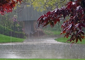 هفته‌ای خنک برای گلستانی‌ها / کاهش ۴ تا ۶ درجه‌ای دما