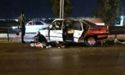 سگی که عامل تصادف مرگبار در علی آباد شد